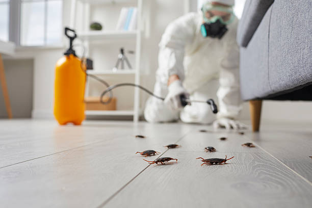 Commercial Kitchen Cockroach Control in McComb